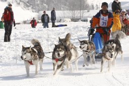 Lenk 2012 SM
